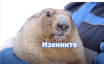 Московские сурки опять проспали День сурка