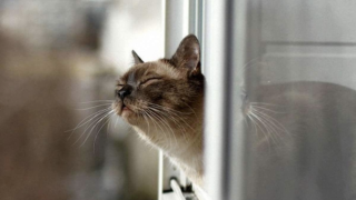 Синоптик рассказал, каким будет в этом году лето в России