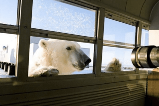За две недели полторы тысячи россиян подали заявки на арктический гектар