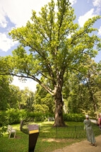 6138988f66dad9389a343db13a529031