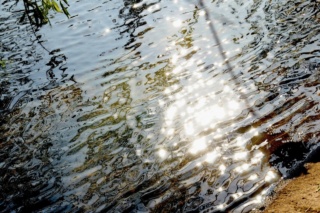 Москвичей ожидает резкое потепление