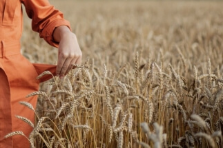 В ООН заявили, что из-за «военной спецоперации» на Украине пятая часть человечества может оказаться в нищете, нужде и голоде