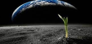 В метеорите нашли все нуклеотиды ДНК и РНК