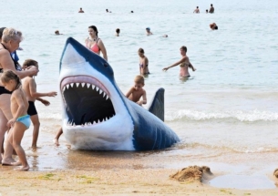 Специалисты рассказали о стоимости отдыха «все включено» на российских курортах