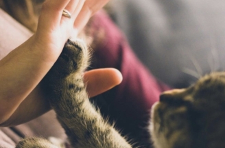 За последний месяц интерес москвичей к сайтам знакомств вырос на 80%