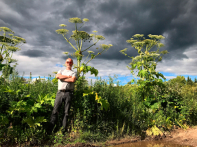 Борщевик может захватить почти всю Россию