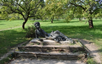 Во Владивостоке высадили дубы из имения Пушкина