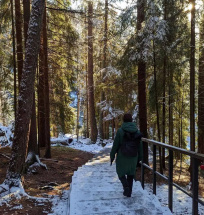 Иксодовые клещи, обитающие в лесах Подмосковья, уже могут быть активными