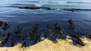 Власти: пляжи Анапы будут открыты к 1 июня