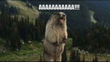 Сезон электросамокатов в Москве может стартовать уже в ближайшие недели