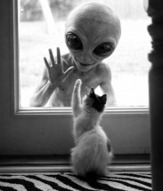 В РПЦ заявили, что инопланетяне существуют и это ангелы Божьи