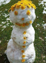 К концу недели в московском регионе ожидаются заморозки