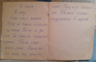 Наибольшие трудности участники «Тотального диктанта» испытывают со слитным или раздельным написанием частицы «не»