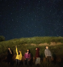 Сегодня ближе к полуночи ожидается пик звездопада Лириды