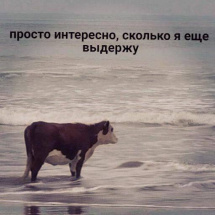 Психические расстройства стали главной причиной ухудшения здоровья в мире, обогнав онкологию и сердечно-сосудистые заболевания