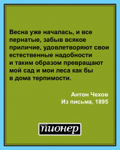Цитата дня