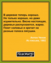 Цитата дня