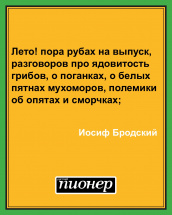Цитата дня