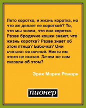 Цитата дня