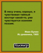 Цитата дня