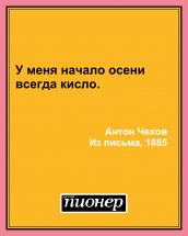 Цитата дня