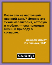 Цитата дня