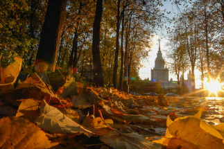 Пятница может стать самым теплым днем с начала октября в Москве