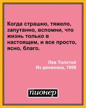 Цитата дня