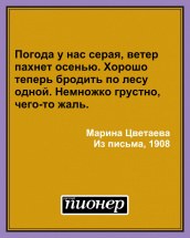 Цитата дня
