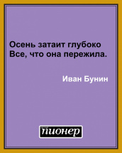 Цитата дня